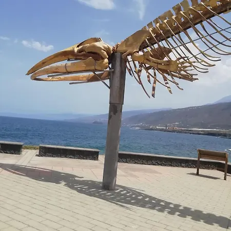 Casa Ecologica, Autosuficiente Con Off Grid En Lomo Blanco, Dentro De Casa Rodeada De Naturaleza Проживание в семье *