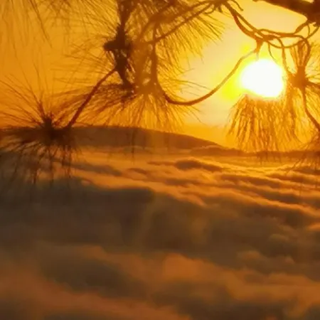 Проживание в семье Casa Ecologica, Autosuficiente Con Off Grid En Lomo Blanco, Dentro De Casa Rodeada De Naturaleza *