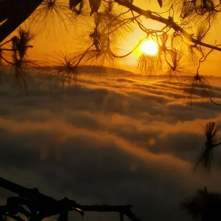 Проживание в семье Casa Ecologica, Autosuficiente Con Off Grid En Lomo Blanco, Dentro De Casa Rodeada De Naturaleza Сан-Хуан-де-ла-Рамбла