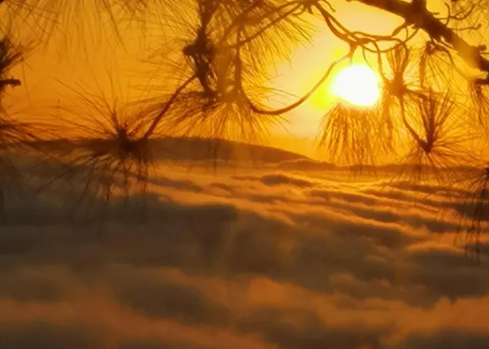 Séjour chez l'habitant Casa Ecologica, Autosuficiente Con Off Grid En Lomo Blanco, Dentro De Casa Rodeada De Naturaleza *