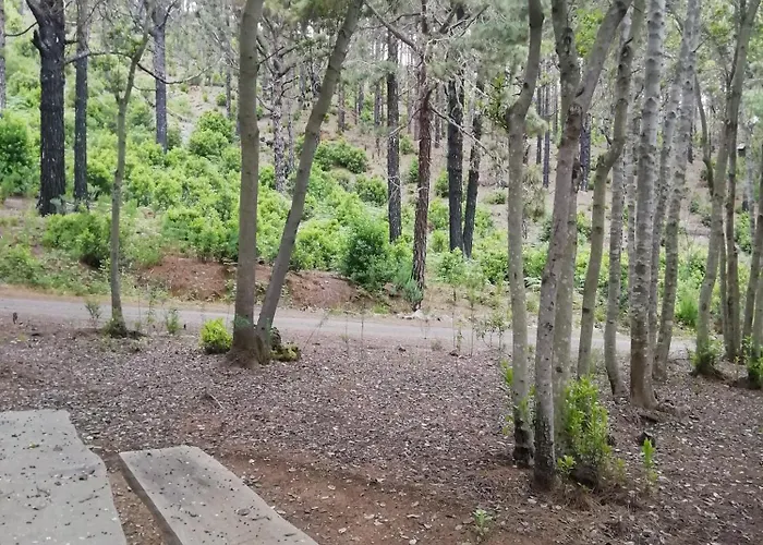 Casa Ecologica, Autosuficiente Con Off Grid En Lomo Blanco, Dentro De Casa Rodeada De Naturaleza Séjour chez l'habitant San Juan de la Rambla
