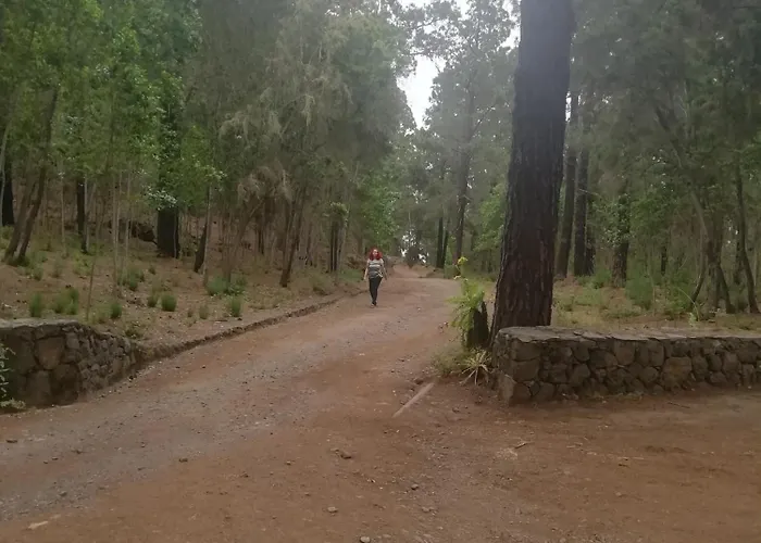 Casa Ecologica, Autosuficiente Con Off Grid En Lomo Blanco, Dentro De Casa Rodeada De Naturaleza * San Juan de la Rambla