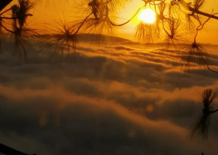 Homestay Casa Ecologica, Autosuficiente Con Off Grid En Lomo Blanco, Dentro De Casa Rodeada De Naturaleza San Juan de la Rambla